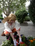 Top-3-Foto - von black_neko