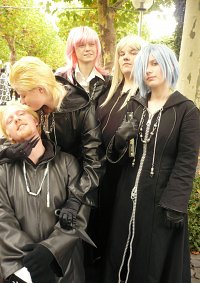 Cosplay-Cover: Marluxia