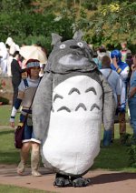 Cosplay-Cover: Totoro v.1