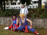 Top-3-Foto - von toneido