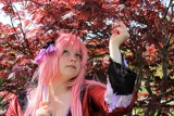 Top-3-Foto - von Master-Dragon