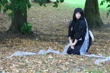 Top-3-Foto - von Master-Dragon