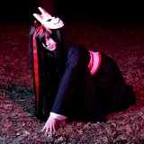 Top-3-Foto - von Master-Dragon
