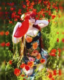 Top-3-Foto - von Master-Dragon