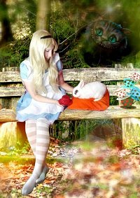 Cosplay-Cover: Alice