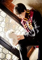 Cosplay-Cover: Harry Potter *Winteruniform*