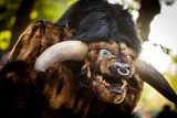 Top-3-Foto - von Squirrel_of_Doom