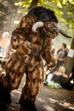Top-3-Foto - von Squirrel_of_Doom