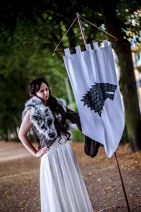 Cosplay-Cover: House Stark