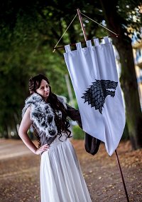 Cosplay-Cover: House Stark