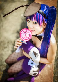 Cosplay-Cover: Anarchy Stocking - The Stripping - Bunny