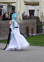 Cosplay-Cover: Miku Hatsune ⌊Cendrillon⌉