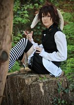 Cosplay-Cover: Sawada Tsunayoshi [Wonderland]