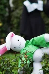 Foto des Kostüms