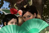 Top-3-Foto - von SilentWhisper