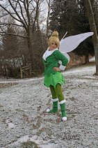 Cosplay-Cover: Tinkerbell (winter woods)