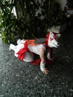 Cosplay-Cover: Amaterasu