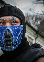 Cosplay-Cover: sub zero