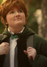 Cosplay-Cover: Samwise Gamgee