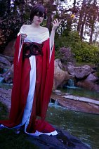 Cosplay-Cover: Meiko [Gekokujou (kae) Aratame]