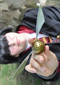 Cosplay-Cover: James "Prongs" Potter [Marauders]