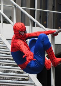 Cosplay-Cover: Spider-Man