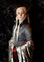 Cosplay-Cover: Thranduil