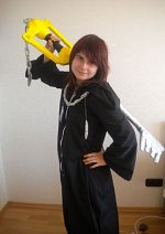 Cosplay-Cover: Marluxia