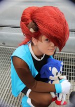 Cosplay-Cover: Sally Acorn