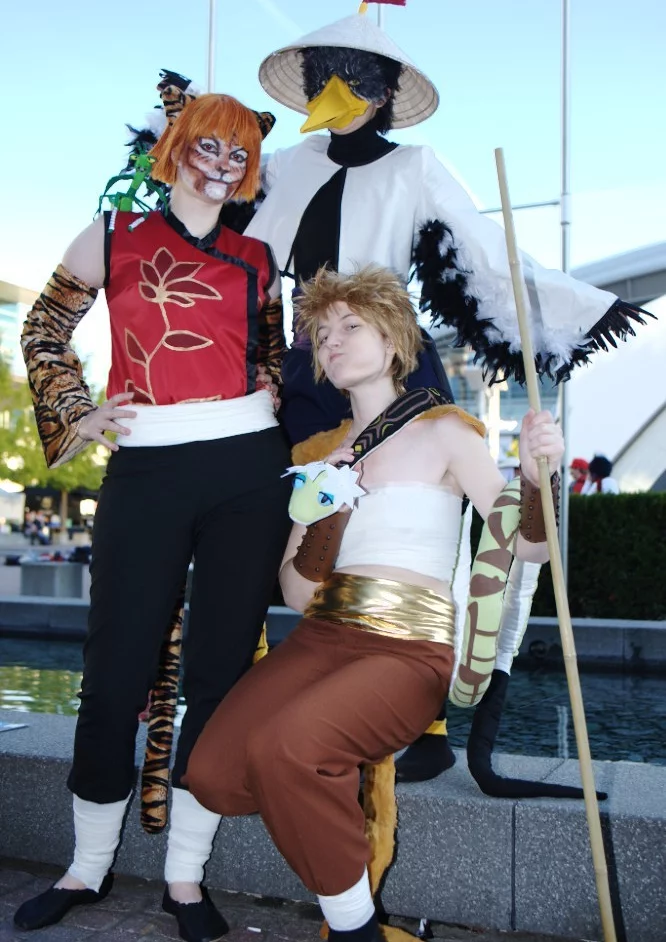 Cosplay-Cover: Master Tigress