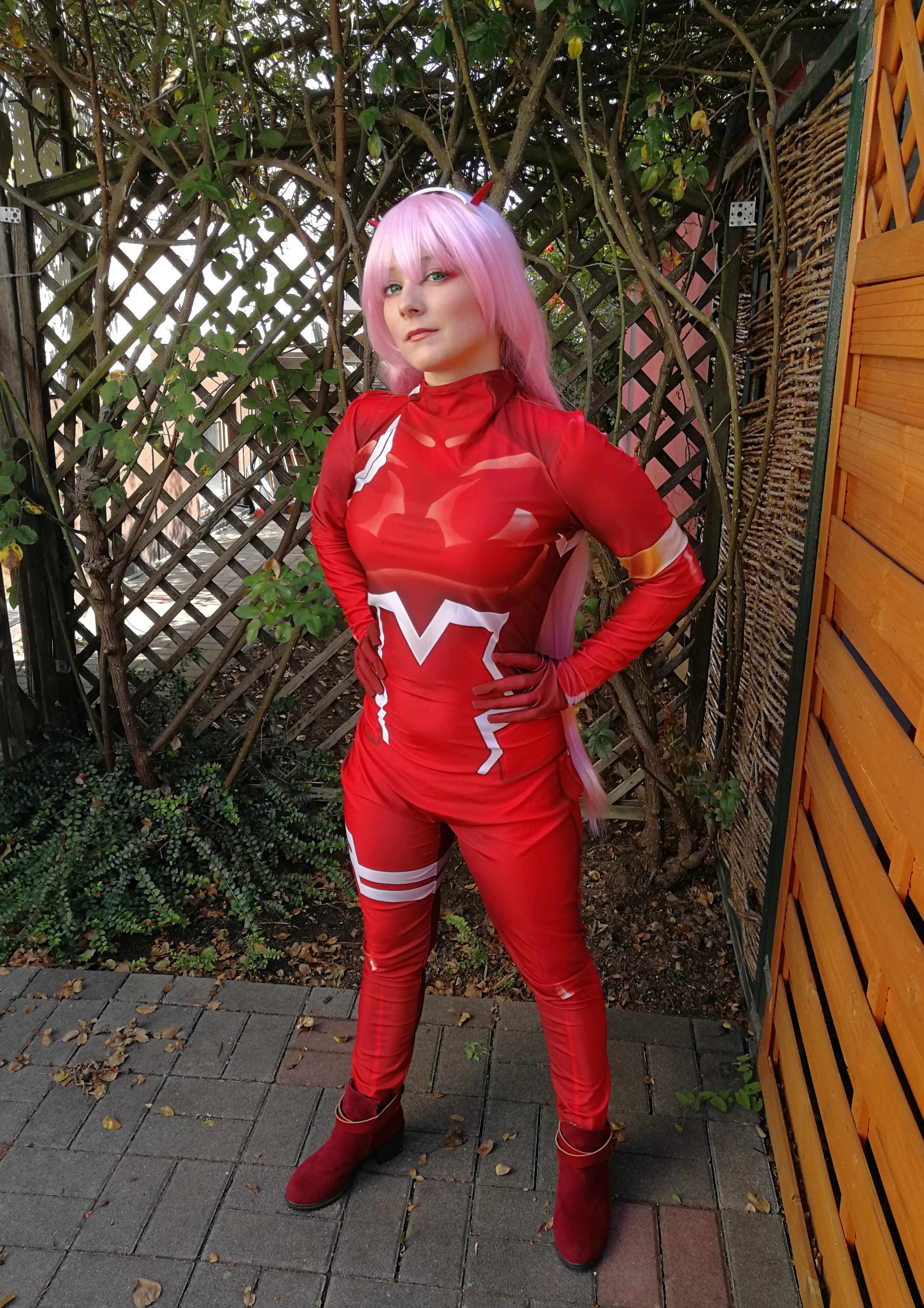 Cosplay-Cover: Zero Two