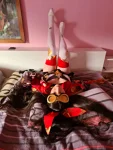 Foto des Kostüms