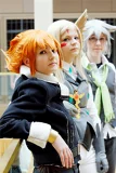 Top-3-Foto - von Hamster