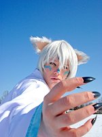 Cosplay-Cover: Kitsune - Eisfuchs (1st Version)