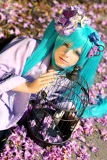 Top-3-Foto - von Rose