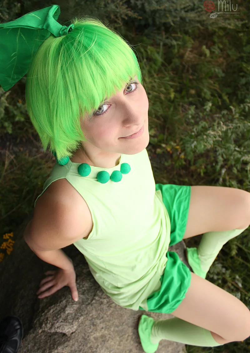 Cosplay-Cover: Endivie Gijinka [male]