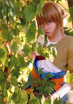 Cosplay-Cover: Ordon Link