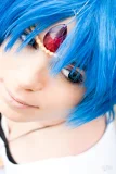 Top-3-Foto - von Rose
