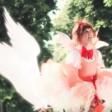 Top-3-Foto - von Rose