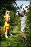 Top-3-Foto - von Rose