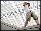 Top-3-Foto - von Rose