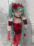 Top-3-Foto - von Ayumon