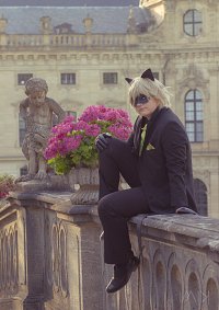 Cosplay-Cover: Chat Noir Ball Outfit