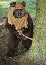 Cosplay-Cover: Wicket (Ewok)