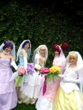 Top-3-Foto - von Kagami