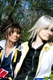 Top-3-Foto - von Chrys_talline