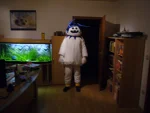 Foto des Kostüms