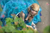 Top-3-Foto - von LadyHinata