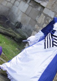 Cosplay-Cover: Kaito (Madness of Duke Venomania)