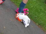 Foto des Kostüms